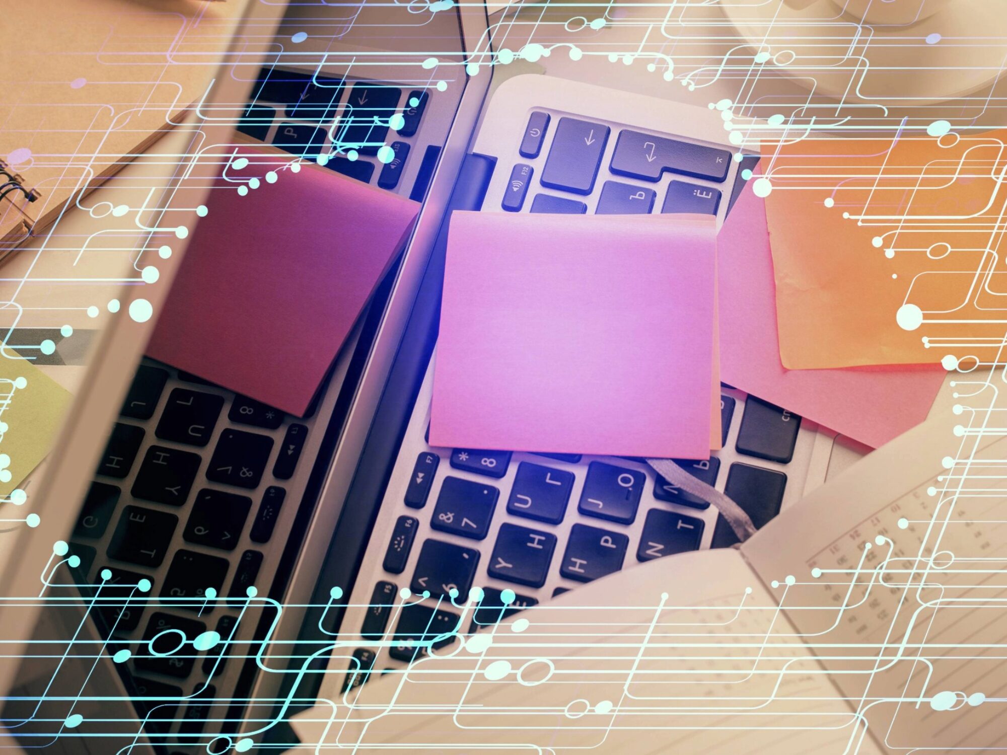 Qlik Cloud Analytics: Lizenzmodelle und Kosten im Überblick